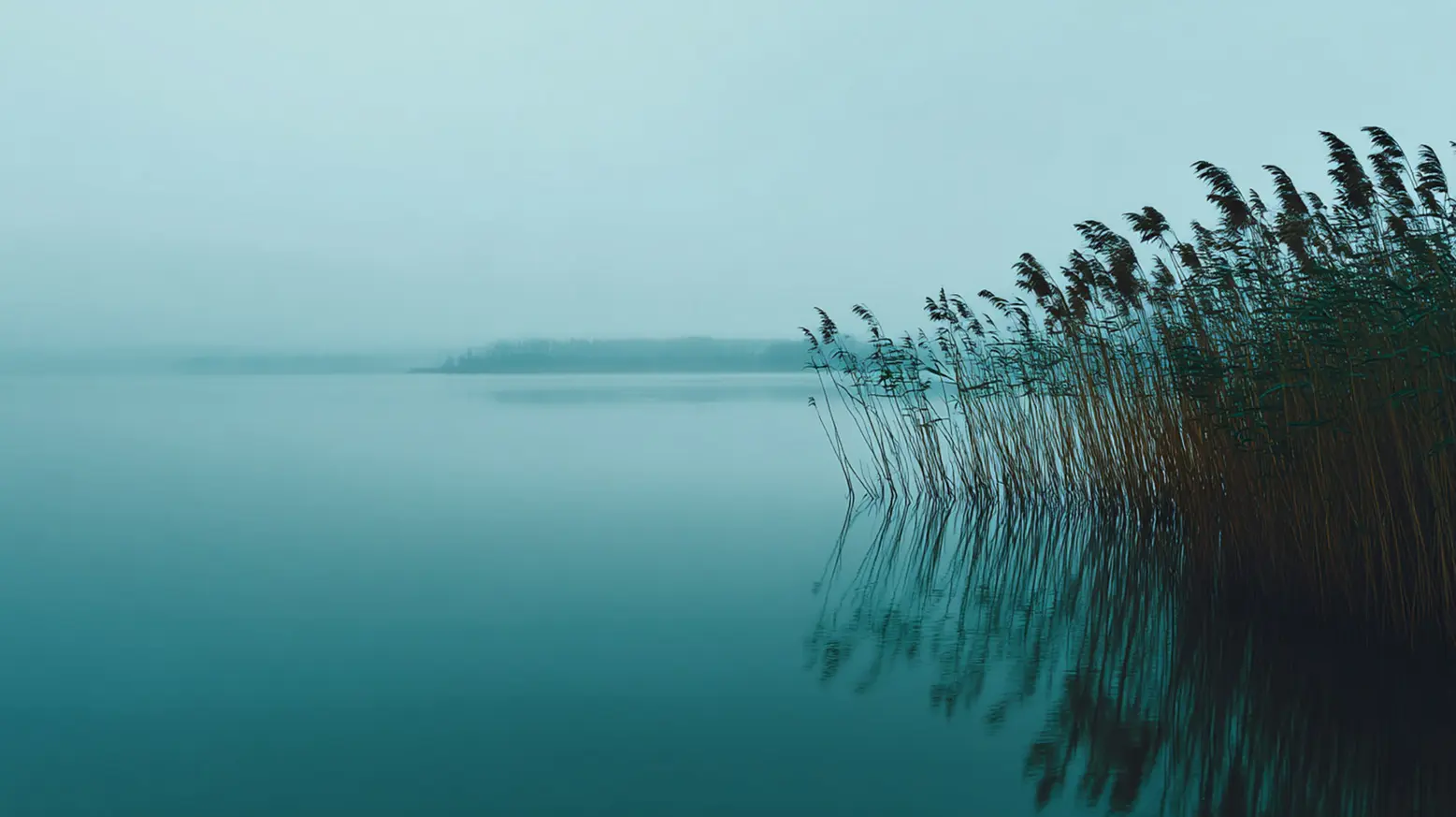 Anwendung der NARM Methode zur Behandlung von Entwicklungstrauma.